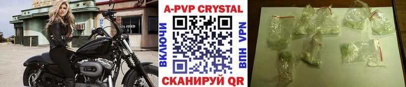 мориарти телеграм  Дагестанские Огни  A-PVP Соль 