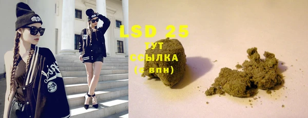 индика Белоозёрский