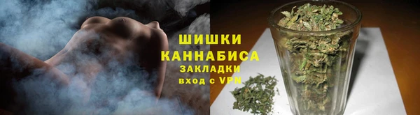 индика Белоозёрский