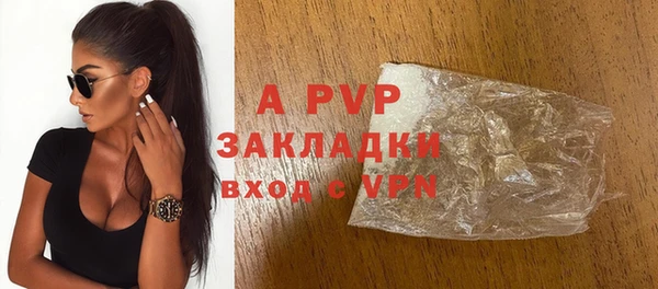 круглые Белокуриха