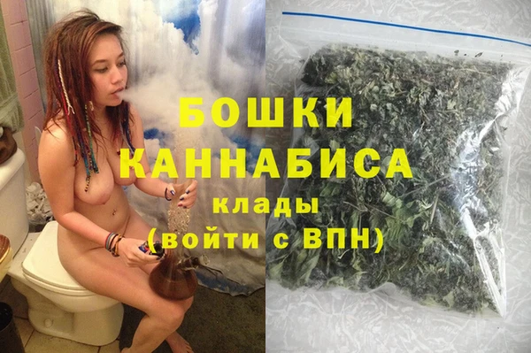 индика Белоозёрский