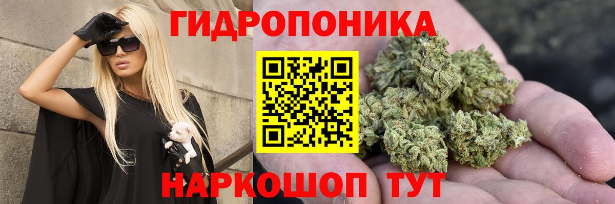 Шишки марихуана сатива  Бошки Шишки SATIVA & INDICA  Дагестанские Огни  МАРИХУАНА тримм  МАРИХУАНА Ganja  Вход с VPN 